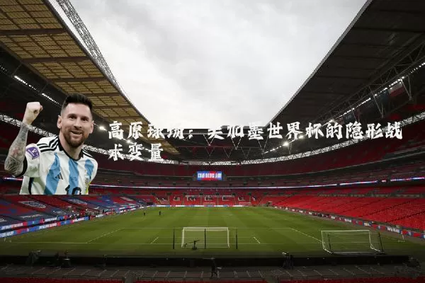 高原球场:美加墨世界杯的隐形战术变量